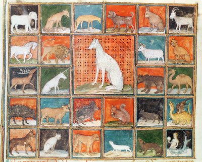 Ms 993 fol.254v خصائص الوحوش: الثدييات ، من Le Livre des Proprietes des Choses بواسطة Jean Cordichon بواسطة المدرسة الفرنسية