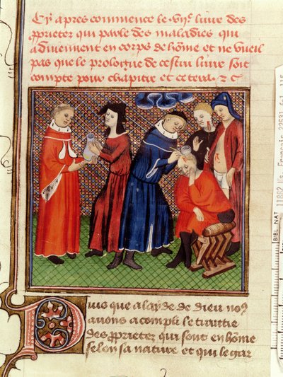 السيدة Fr 22531 Fol.115 فحص البول وشفاء الجروح ، من Le Livre des Proprietes des Choses بواسطة Barthelemy lAnglais ، c.1410-15 بواسطة المدرسة الفرنسية