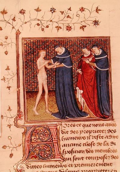 السيدة Fr 22531 ، صفحة 58v. فحص مريض ، من "كتاب خواص الأشياء" للرجل الإنجليزي بارتيليمي ، ج. 1410-15 (ورق) بواسطة المدرسة الفرنسية