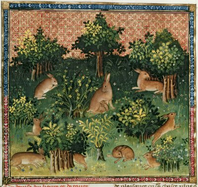السيدة Fr 616 fol.24v Hares in a Wood، from the Livre de la Chasse by Gaston Phebus de Foix (1331-91) بواسطة المدرسة الفرنسية