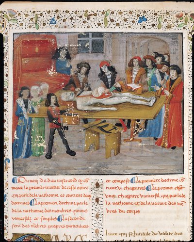 السيدة H 184 fol.14v درس تشريح في كلية الطب في مونبلييه ، من "La Grande Chirurgie" بقلم غي دي تشولياك ، 1363 بواسطة المدرسة الفرنسية