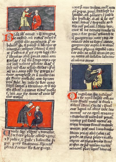 السيدة H 89 fol.16v جراحة الأسنان ، من طبعة من "كتاب الجراحة" بقلم روجير دي ساليرن بواسطة المدرسة الفرنسية