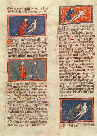 السيدة H 89 fol.21v أرقام تشريحية ، من طبعة من "كتاب الجراحة" بقلم روجير دي ساليرن بواسطة المدرسة الفرنسية
