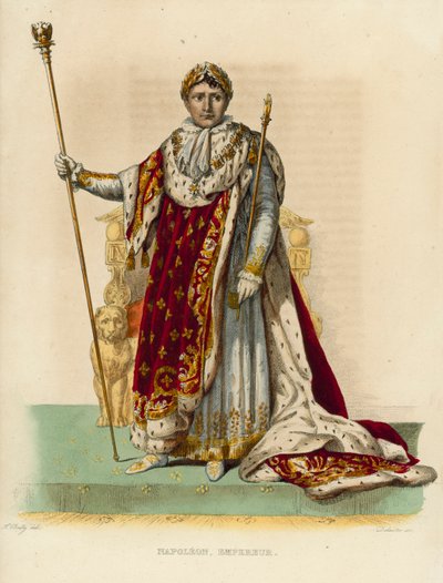 Napoleon Bonaparte (coloured engraving) بواسطة المدرسة الفرنسية