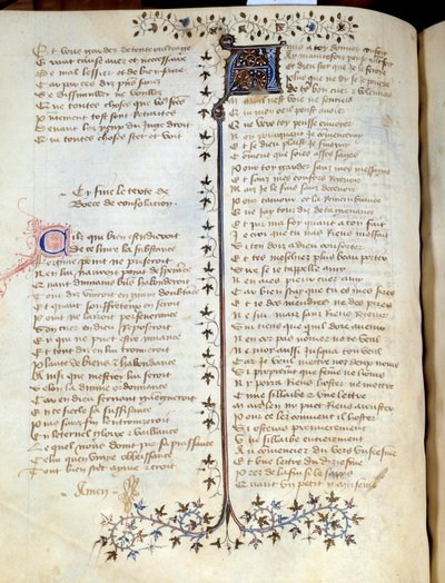 Page taken from the manuscript “” Comfort d