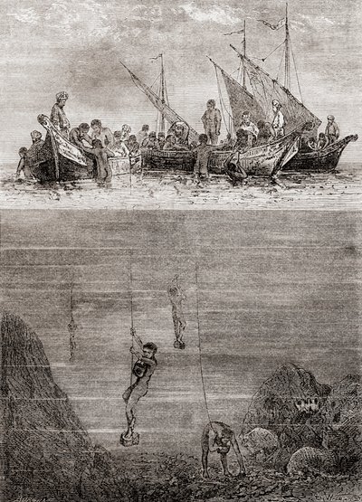 غواصو اللؤلؤ قبالة ساحل جزيرة سيلان في القرن الثامن عشر ، من "Les Merveilles de la Science" ، المنشور حوالي عام 1870 (نقش) بواسطة المدرسة الفرنسية