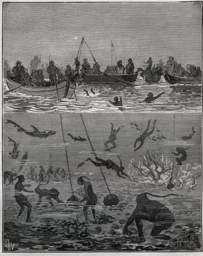 دراق اللؤلؤ في سيلان (سريلانكا الحالية) في القرن التاسع عشر. نقش من عام 1885 في "" Les Arts et metiers Illustres "" لأدولف بيتارد. بواسطة المدرسة الفرنسية