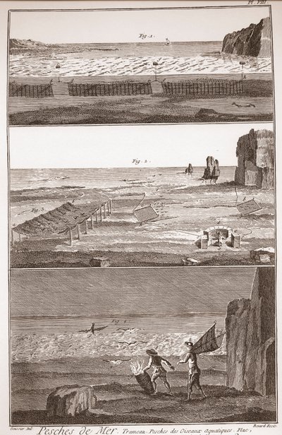 Peche de Mer - Trameau - Waterbird Fishing - "" The Great Encyclopedie، ou Dictionnaire Raisonne des Sciences، des Arts et des Metiers "(موسوعة أو قاموس العلوم والفنون والمهن) بقلم دينيس ديدرو (1713-1784) وجان د. Alembert (171 بواسطة المدرسة الفرنسية