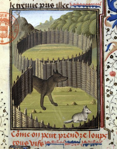 Piege a wolf - في "" كتاب الصيد لـ Gaston Phoebus ، كونت Foix ، Lord of Béarn "" بواسطة المدرسة الفرنسية