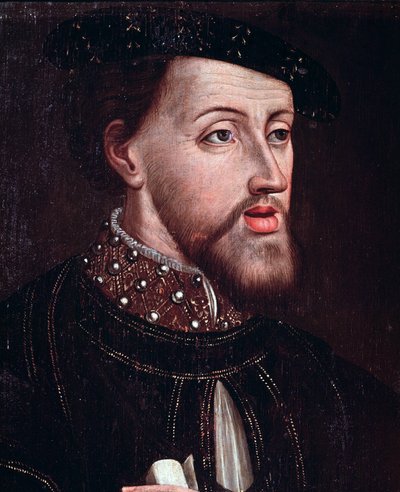 صورة للإمبراطور تشارلز الخامس (1500-1558) التفاصيل لوحة مجهولة المصدر للمدرسة الفرنسية في القرن السادس عشر متحف شانتيلي كوندي بواسطة المدرسة الفرنسية