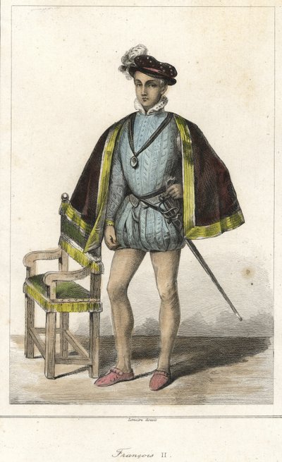 صورة لفرنسوا الثاني (1544-1560) ، ملك فرنسا. بواسطة المدرسة الفرنسية