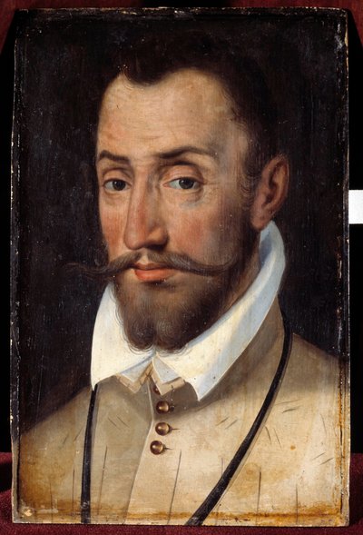 صورة فرانسوا دي كوليجني ، لورد أندلوت ، العقيد العام للمشاة (1521-1569) لوحة للمدرسة الفرنسية بواسطة المدرسة الفرنسية