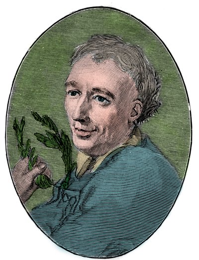 صورة لورانس أوسدين (1688-1730) شاعر إنجليزي. بواسطة المدرسة الفرنسية