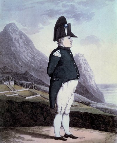 صورة لنابليون الأول (1769-1821) في جزيرة سانت هيلين في مايو 1815 نقش من القرن التاسع عشر إيل دايكس. متحف نابليون بواسطة المدرسة الفرنسية