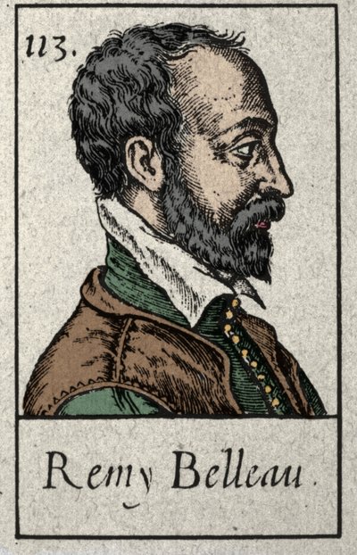 بورتريه لريمي بيلو (1528-1577) شاعر فرنسي عضو في حركة البلياد. نقش من القرن التاسع عشر. بواسطة المدرسة الفرنسية