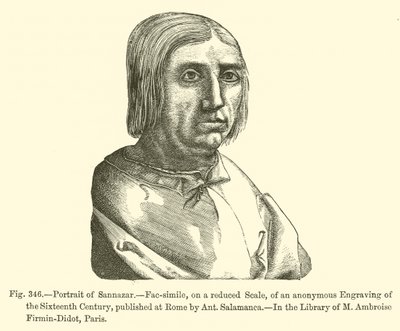 Portrait of Sannazar (engraving) بواسطة المدرسة الفرنسية