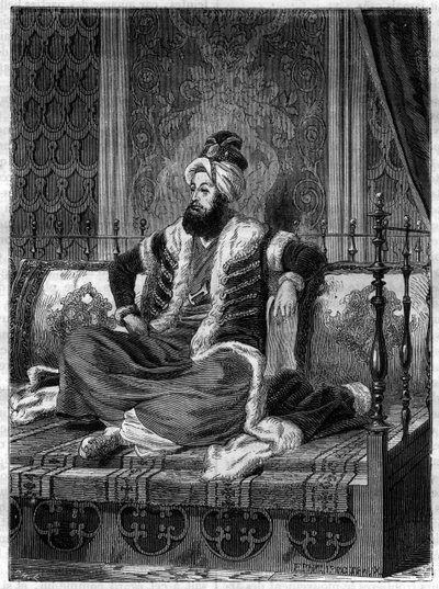 صورة لسليم الثالث (1761-1808) ، الإمبراطور العثماني. كان سليم الثالث هو السلطان من 1789-1807 - السلطان سليم الثالث (1761-1808) - في "تاريخ الإمبراطورية يتماشى مع تاريخ القنصلية" لأدولف تيير -1879 - مجموعة خاصة بواسطة المدرسة الفرنسية