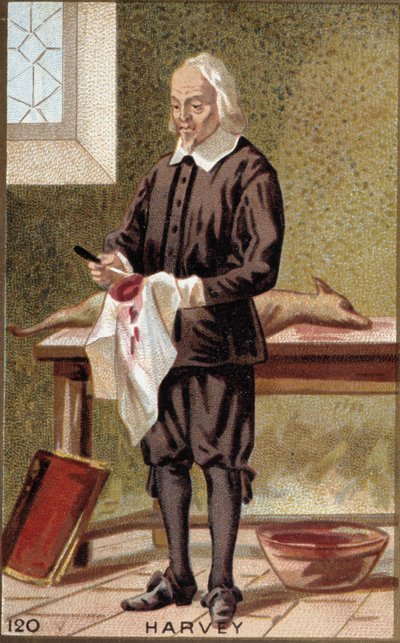 صورة ويليام هارفي (1578-1657) ، طبيب إنجليزي. بواسطة المدرسة الفرنسية