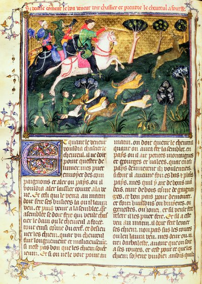 السعي وراء رو-باك ، من Livre de la Chasse ، النص الأصلي الذي كتبه Gaston III ، Comte de Foix Phebus le Chasseur (1331-91) Avignon ، 1387-89 (الغواش على الرق) بواسطة المدرسة الفرنسية
