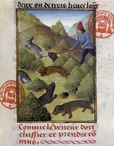 Rabbit Hunt - in “” Hunting Book of Gaston Phoebus, Count of Foix, Lord of Béarn”” بواسطة المدرسة الفرنسية