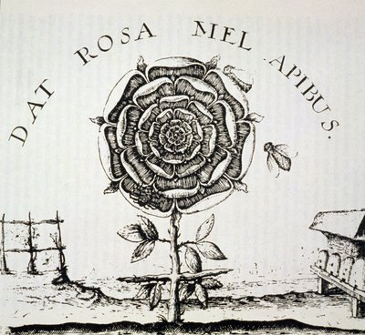 Rosicrucian Allegory ، نسخة من نقش يوهان ثيودور دي بري (c.1598) ، المستخدمة في تاريخ السحر ، نُشرت في أواخر القرن التاسع عشر بواسطة المدرسة الفرنسية
