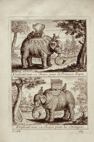 الفيلة الملكية ، من Voyage du Siam des Peres Jesuites بقلم جاي تاكارد ، 1688 بواسطة المدرسة الفرنسية
