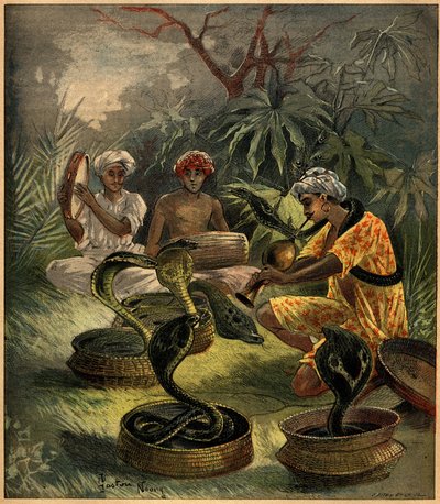 سحرة الثعابين (الكوبرا) في الهند. نقش في "La Terre Illustree" رقم 94 بتاريخ 18 أغسطس 1892. بواسطة المدرسة الفرنسية