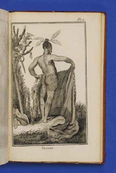 Tacouri ، رسم توضيحي من "رحلة جديدة إلى البحر الجنوبي ، بدأ بأوامر من السيد ماريون" لجوليان ماري كروزيت بواسطة المدرسة الفرنسية