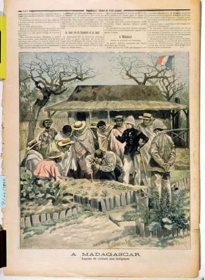 طرق التدريس للزراعة لسكان مدغشقر ، من لو بيتيت جورنال ، 7 نوفمبر 1896 بواسطة French School