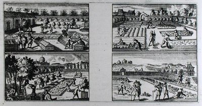 العناية بالحديقة ، من "The Compleat Gard'ner: أو توجيهات للزراعة والنظام الصحيح لحدائق الفاكهة وحدائق المطبخ" بقلم جان دي لا كوينتيني ، نُشر حوالي 1704 (نقش) (صورة بالأبيض والأسود) بواسطة المدرسة الفرنسية