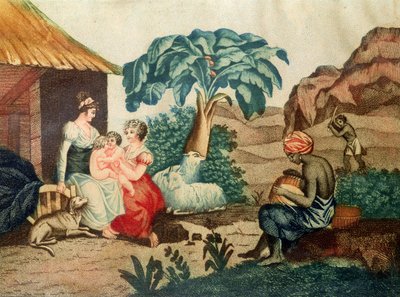 طفولة بول وفيرجيني ، من "بول إي فيرجيني" بقلم هنري برناردين دي سان بيير (1737-1814) بواسطة المدرسة الفرنسية