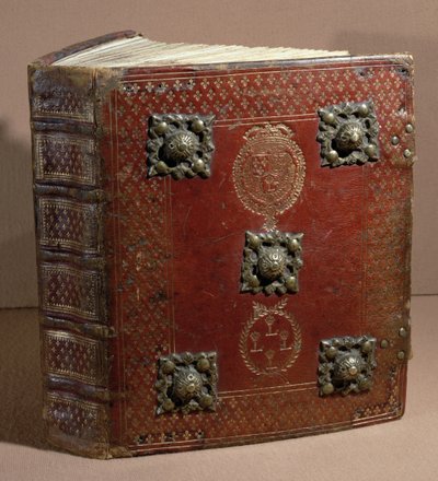 The Livre Ferre of the Cour des Comptes (leather and vellum) بواسطة المدرسة الفرنسية