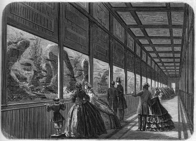 حوض السمك في حديقة باريس للتأقلم عام 1863. بواسطة المدرسة الفرنسية