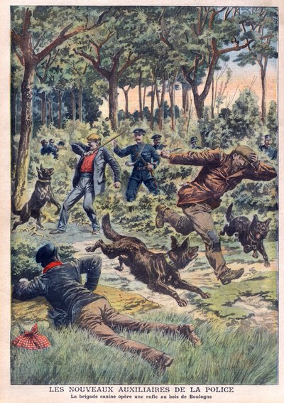 مساعدو الشرطة الجدد: لواء الكلاب ينفذ جولة في Bois de Boulogne ، رسم توضيحي من "Le Petit Journal" في 28 يوليو بواسطة المدرسة الفرنسية