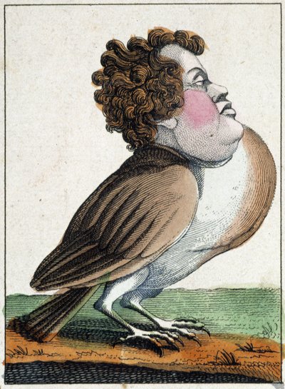 The pigeon in Caricature, study of character “volatile character” sd. 19th, popular imagery. بواسطة المدرسة الفرنسية