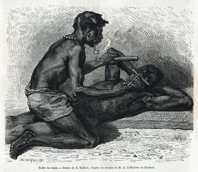 حجم الأسنان في Okanda ، رسمه D. Maillard ، لتوضيح قصة رحلة إلى الغابون ونهر Ogoue في 1875-1877 ، بواسطة Alfred Marche. نقش في Le Tour du monde بواسطة المدرسة الفرنسية