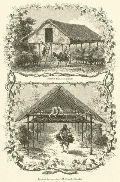 Tilembar ou Magnanerie persane (نقش) بواسطة المدرسة الفرنسية
