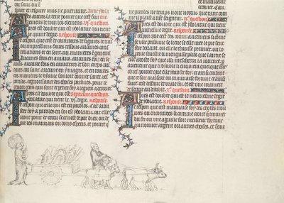 نقل المتعلقات في عربة تجرها الثور ، مصغر غير مكتمل من الكتاب المقدس جان دي سي ، c.1355 بواسطة المدرسة الفرنسية