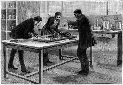 نقب أرنب في مختبر لويس باستور (1822-1895) ، لدراسة داء الكلب ، رسم بواسطة طبيعة C.Gilbert d'apres. نقش في "" La Nature. Revue des sciences et de ses applications aux Arts et a l'industrie " بواسطة المدرسة الفرنسية
