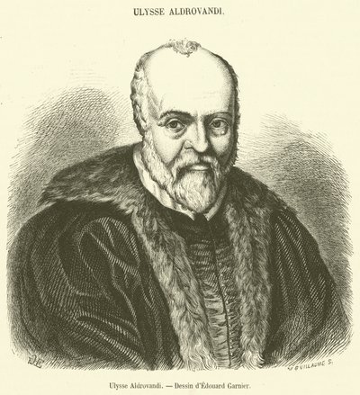 Ulysse Aldrovandi (engraving) بواسطة المدرسة الفرنسية
