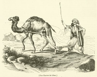 محراث من لبنان (نقش) بواسطة المدرسة الفرنسية