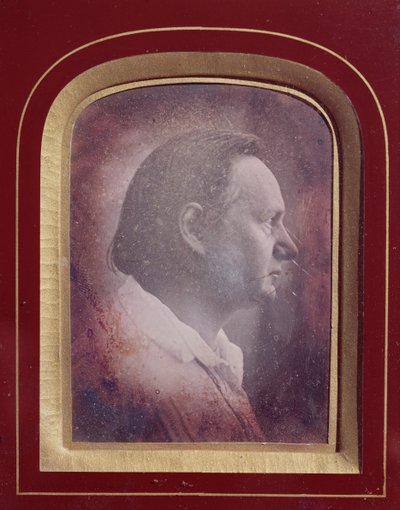 فيكتور هوغو (1802-85) (daguerreotype) بواسطة المدرسة الفرنسية