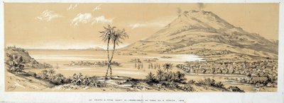 منظر لـ Pointe a Pitre (Pointe-a-Pitre) قبل الزلزال. نقش من عام 1843. شارتر ، متحف الفنون الجميلة بواسطة المدرسة الفرنسية