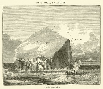 منظر لـ Bass-Rock (نقش) بواسطة المدرسة الفرنسية