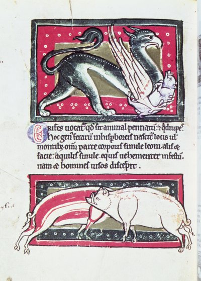 خنزير بري وغريفون ، مصغر من Saltykowchsh Edrin Bestiary بواسطة المدرسة الفرنسية