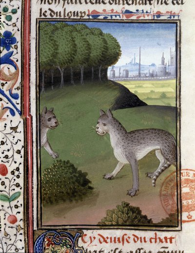 Wild cats - in “” Hunting Book of Gaston Phoebus, Count of Foix, Lord of Bearn”” بواسطة المدرسة الفرنسية