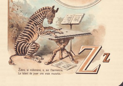 Z: Zebre ، إذا كان ملتهبًا ، لديه ، على الهارمونيكا ، موهبة لعب مازوركا حقيقية بواسطة المدرسة الفرنسية