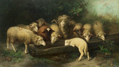 حوض الأغنام ، القرن التاسع عشر بواسطة فريدريش فرديناند شمالزيوج