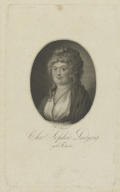 صورة للمؤلفة كريستيان صوفي لودفيغ ، ني فريتش 1764-1815 ، ج. 1810. بواسطة Friedrich Wilhelm Nettling