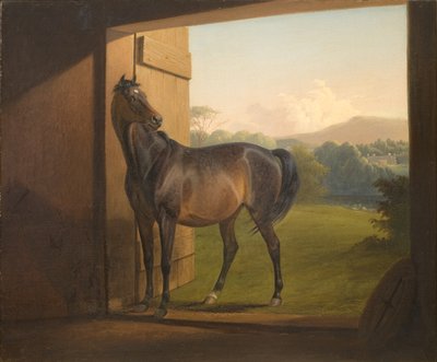 Reveler Mare بواسطة فريتز تومسن